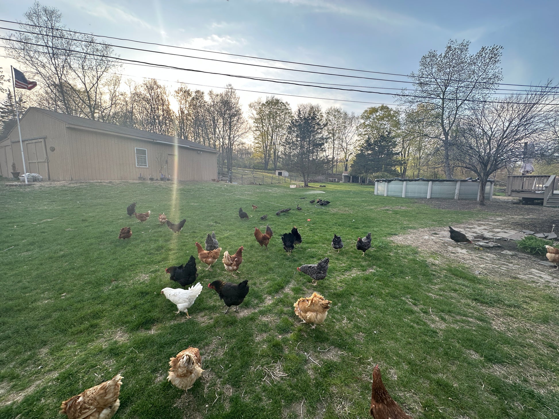 PASTURE-RAISED TURKEY